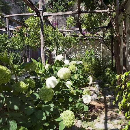 Hotel Pupetto Positano