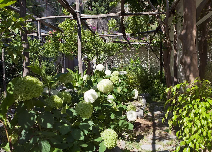 Hotel Pupetto Positano